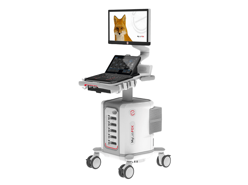 Equipo de ultrasonido MyLab FOX